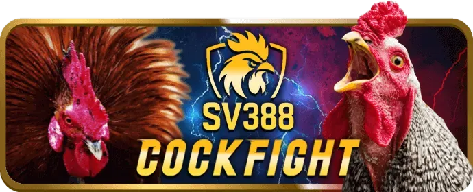 Nổ Hũ Video KU KU Casino