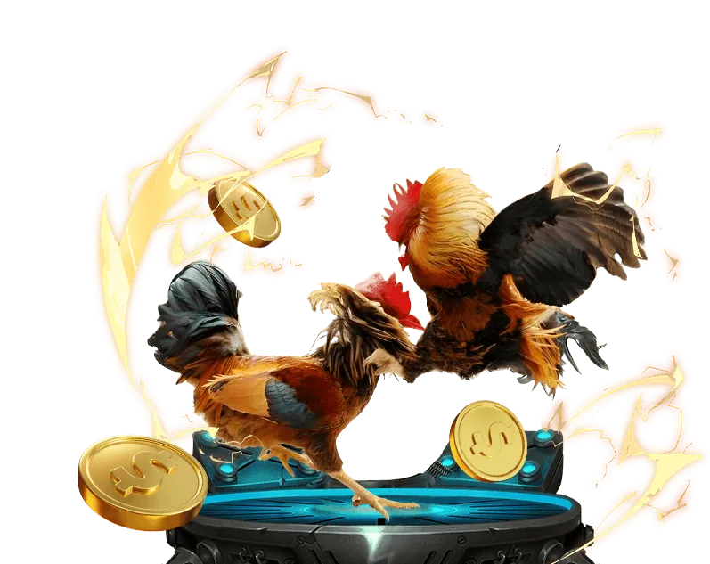 Tổng quan nền tảng KU KU Casino
