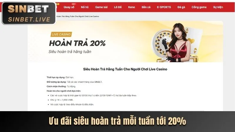 Cá cược thể thao và trận đấu